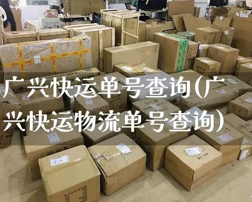 广兴快运单号查询(广兴快运物流单号查询)_https://www.senxinmaoyi.com_快递查询_第1张