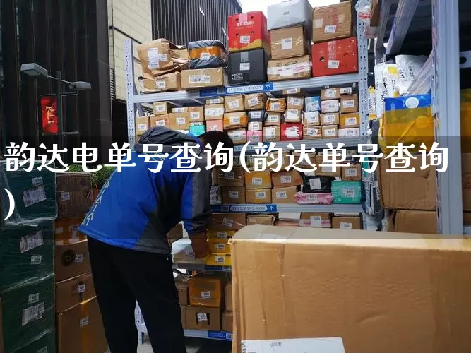 韵达电单号查询(韵达单号查询)_https://www.senxinmaoyi.com_物流单号_第1张