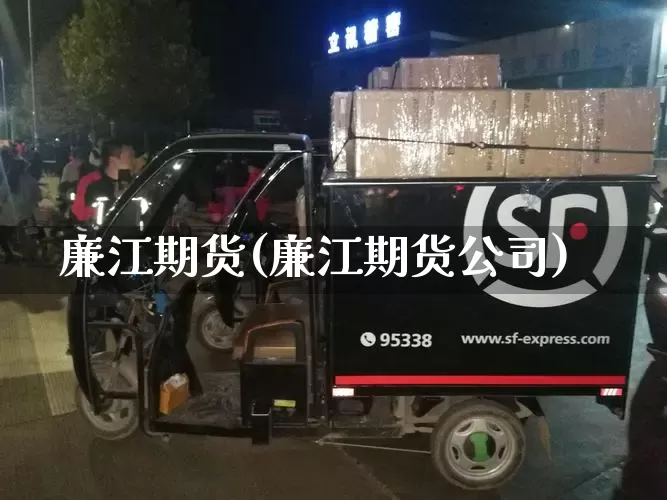廉江期货(廉江期货公司)_https://www.senxinmaoyi.com_物流单号_第1张