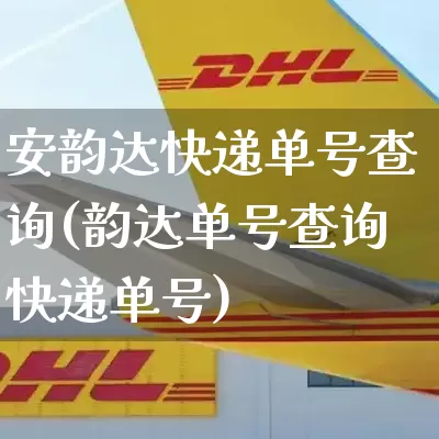 安韵达快递单号查询(韵达单号查询快递单号)_https://www.senxinmaoyi.com_物流查询_第1张