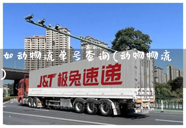 如动物流单号查询(动物物流)_https://www.senxinmaoyi.com_物流单号_第1张