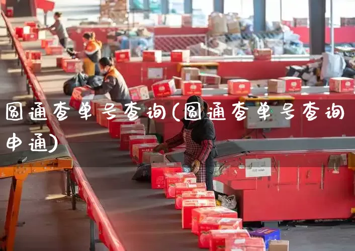 圆通查单号查询(圆通查单号查询申通)_https://www.senxinmaoyi.com_物流查询_第1张