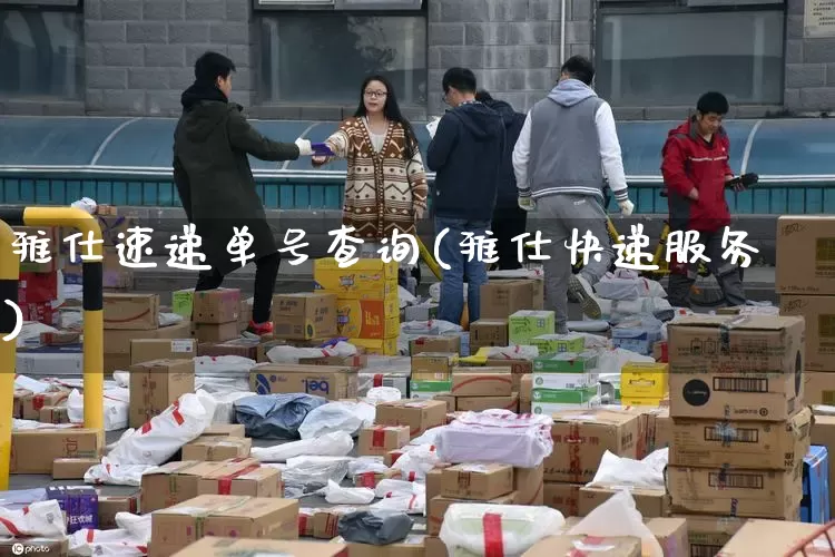 雅仕速递单号查询(雅仕快递服务)_https://www.senxinmaoyi.com_邮政编码_第1张