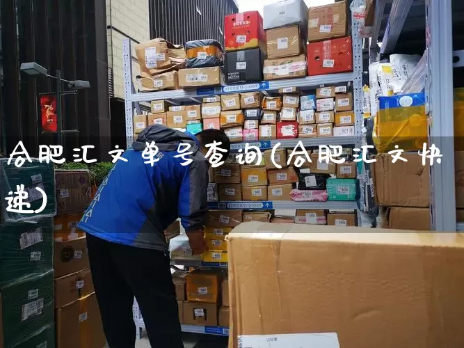 合肥汇文单号查询(合肥汇文快递)_https://www.senxinmaoyi.com_物流查询_第1张