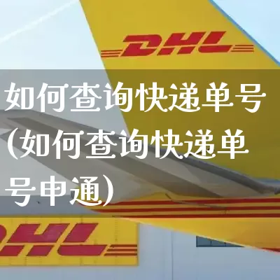 如何查询快递单号(如何查询快递单号申通)_https://www.senxinmaoyi.com_物流单号_第1张