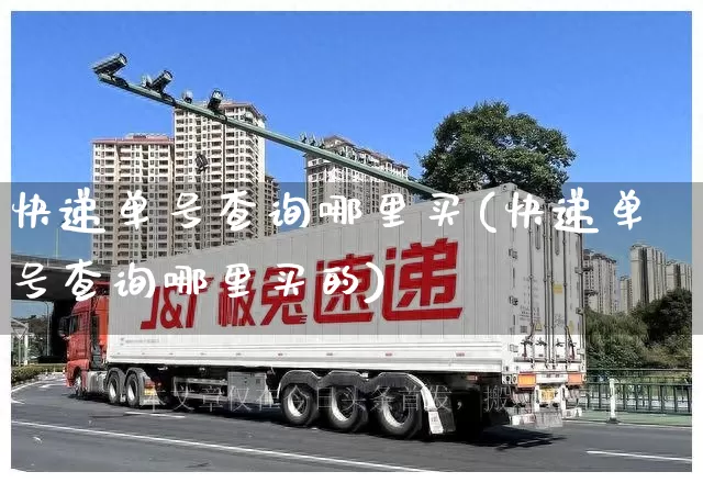 快递单号查询哪里买(快递单号查询哪里买的)_https://www.senxinmaoyi.com_物流单号_第1张