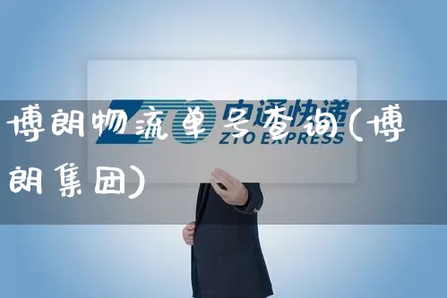 博朗物流单号查询(博朗集团)_https://www.senxinmaoyi.com_物流单号_第1张
