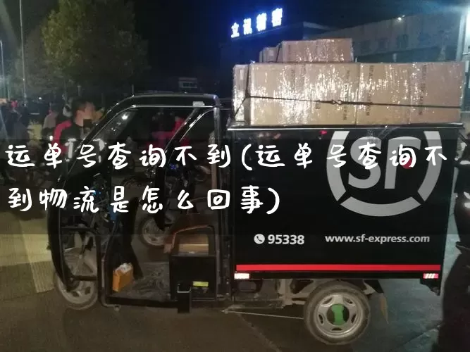 运单号查询不到(运单号查询不到物流是怎么回事)_https://www.senxinmaoyi.com_物流查询_第1张