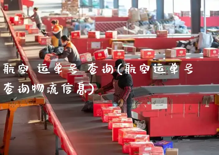 航空 运单号 查询(航空运单号查询物流信息)_https://www.senxinmaoyi.com_快递查询_第1张