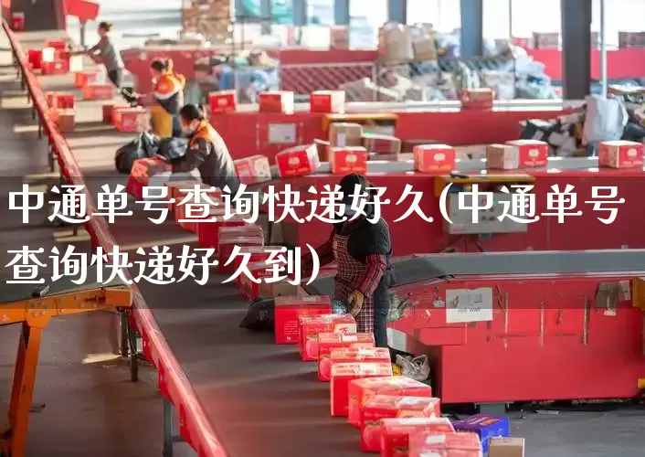 中通单号查询快递好久(中通单号查询快递好久到)_https://www.senxinmaoyi.com_邮政编码_第1张
