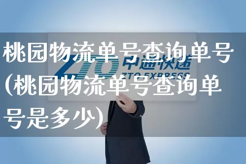 桃园物流单号查询单号(桃园物流单号查询单号是多少)_https://www.senxinmaoyi.com_快递查询_第1张