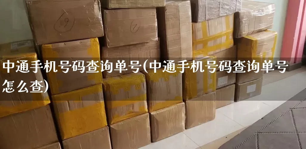 中通手机号码查询单号(中通手机号码查询单号怎么查)_https://www.senxinmaoyi.com_物流查询_第1张