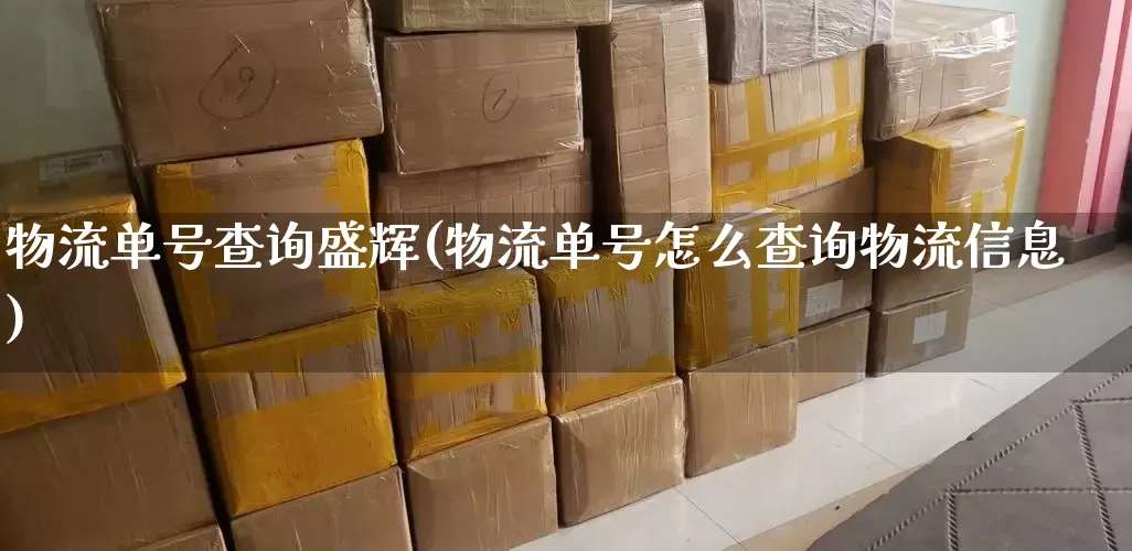 物流单号查询盛辉(物流单号怎么查询物流信息)_https://www.senxinmaoyi.com_物流单号_第1张