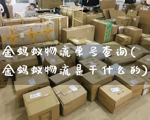金蚂蚁物流单号查询(金蚂蚁物流是干什么的)_https://www.senxinmaoyi.com_物流单号_第1张