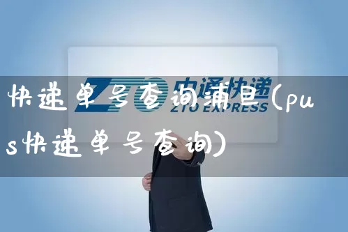快递单号查询浦旦(pus快递单号查询)_https://www.senxinmaoyi.com_物流单号_第1张