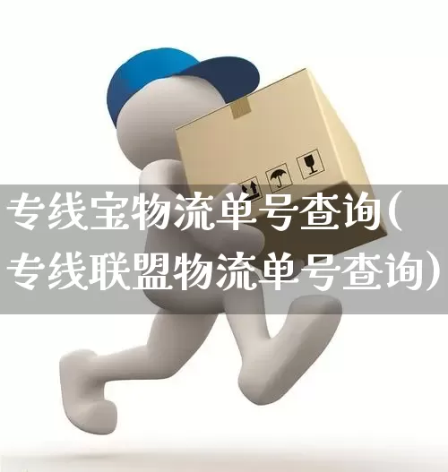 专线宝物流单号查询(专线联盟物流单号查询)_https://www.senxinmaoyi.com_物流单号_第1张