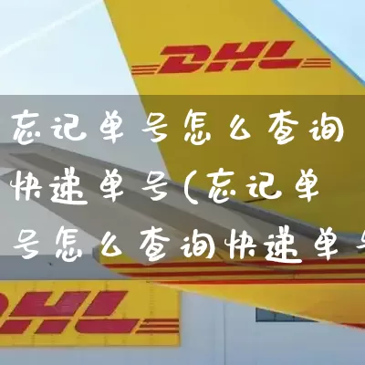 忘记单号怎么查询快递单号(忘记单号怎么查询快递单号信息)_https://www.senxinmaoyi.com_快递查询_第1张