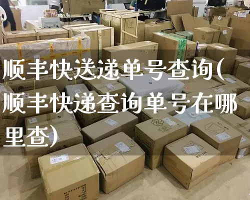 顺丰快送递单号查询(顺丰快递查询单号在哪里查)_https://www.senxinmaoyi.com_快递查询_第1张