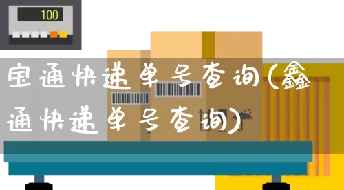 宝通快递单号查询(鑫通快递单号查询)_https://www.senxinmaoyi.com_物流查询_第1张