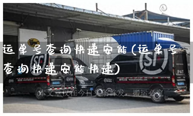 运单号查询快递安能(运单号查询快递安能快递)_https://www.senxinmaoyi.com_邮政编码_第1张
