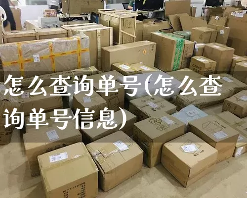 怎么查询单号(怎么查询单号信息)_https://www.senxinmaoyi.com_物流查询_第1张