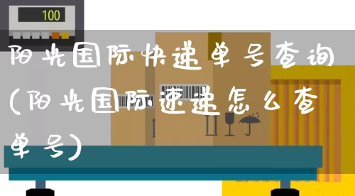 阳光国际快递单号查询(阳光国际速递怎么查单号)_https://www.senxinmaoyi.com_邮政编码_第1张