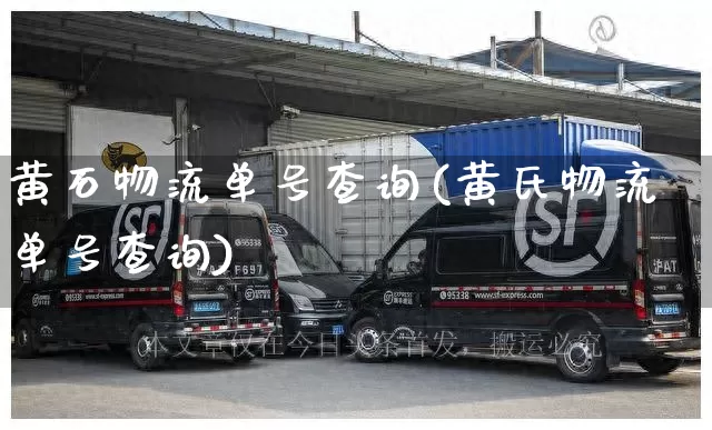 黄石物流单号查询(黄氏物流单号查询)_https://www.senxinmaoyi.com_物流查询_第1张