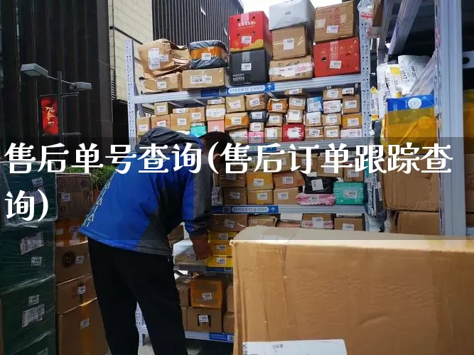 售后单号查询(售后订单跟踪查询)_https://www.senxinmaoyi.com_物流查询_第1张