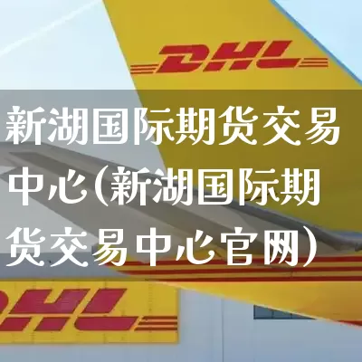 新湖国际期货交易中心(新湖国际期货交易中心官网)_https://www.senxinmaoyi.com_物流单号_第1张