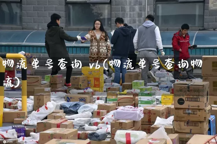 物流单号查询 vb(物流单号查询物流)_https://www.senxinmaoyi.com_邮政编码_第1张