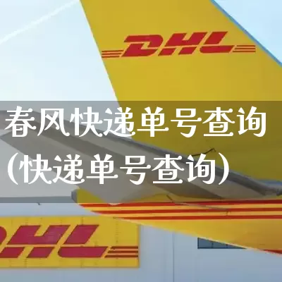 春风快递单号查询(快递单号查询)_https://www.senxinmaoyi.com_物流查询_第1张