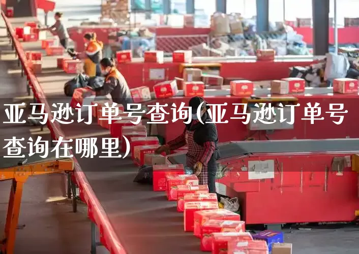 亚马逊订单号查询(亚马逊订单号查询在哪里)_https://www.senxinmaoyi.com_邮政编码_第1张