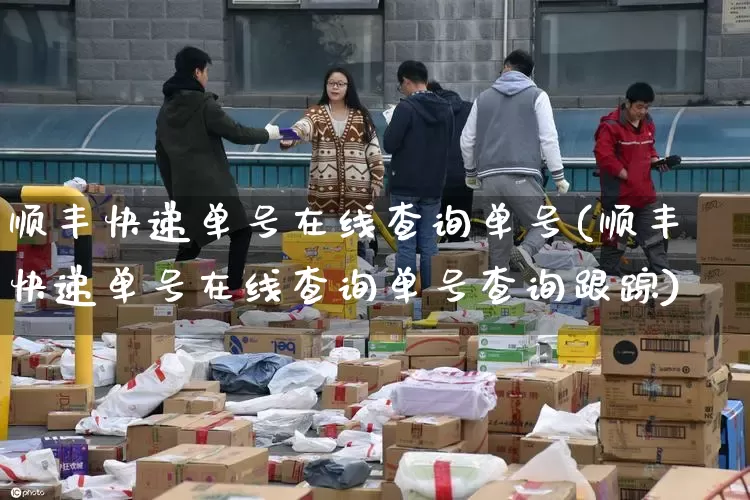 顺丰快递单号在线查询单号(顺丰快递单号在线查询单号查询跟踪)_https://www.senxinmaoyi.com_快递查询_第1张