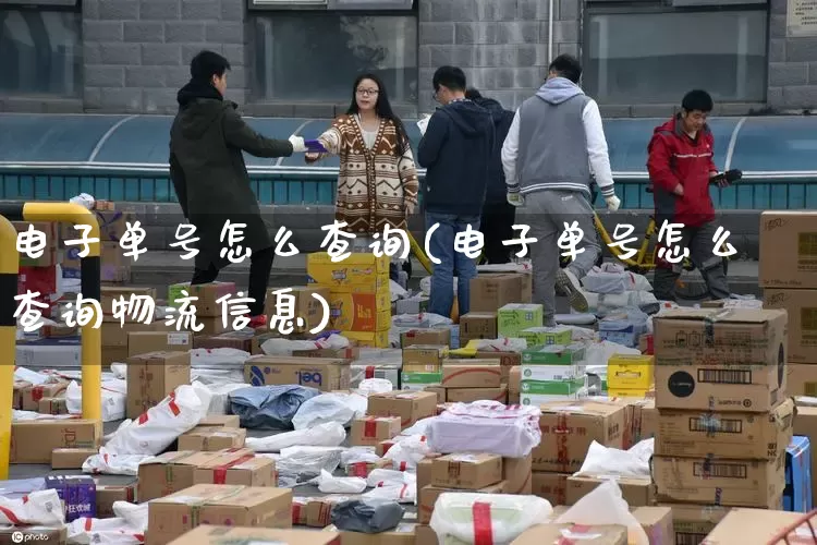 电子单号怎么查询(电子单号怎么查询物流信息)_https://www.senxinmaoyi.com_邮政编码_第1张