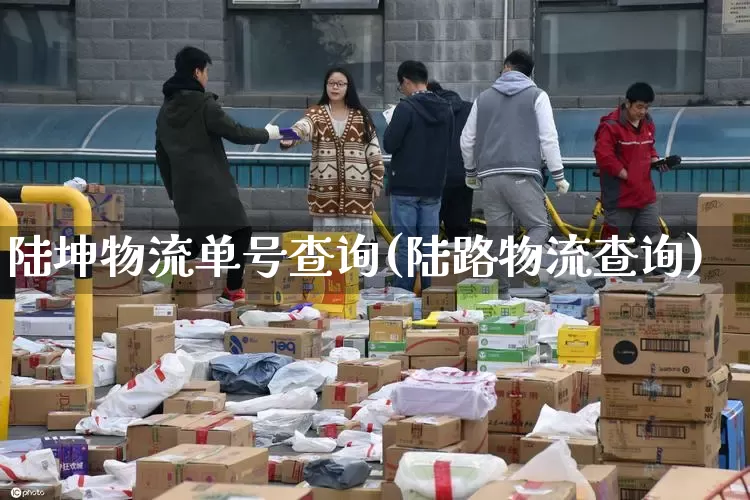 陆坤物流单号查询(陆路物流查询)_https://www.senxinmaoyi.com_物流单号_第1张