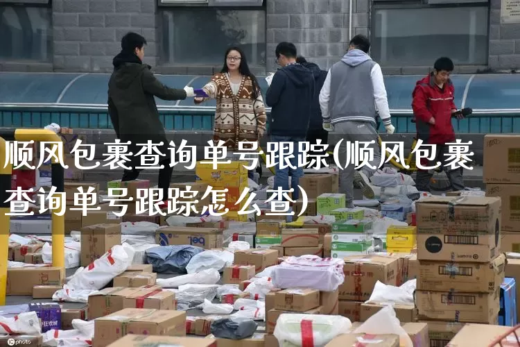 顺风包裹查询单号跟踪(顺风包裹查询单号跟踪怎么查)_https://www.senxinmaoyi.com_邮政编码_第1张