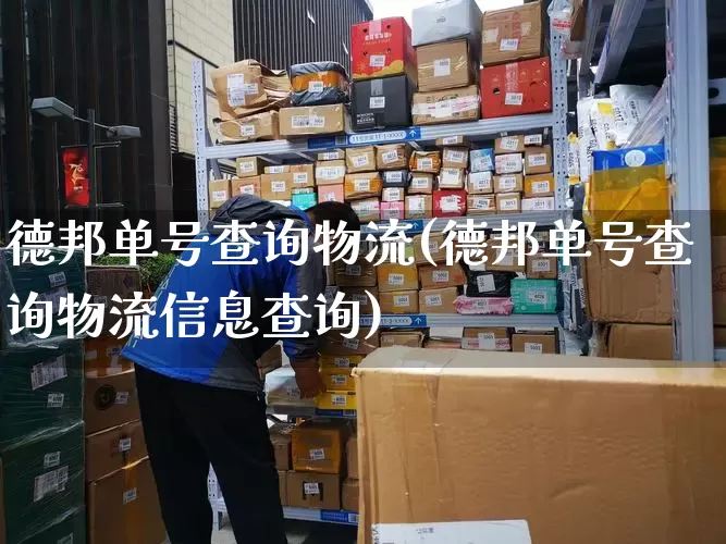 德邦单号查询物流(德邦单号查询物流信息查询)_https://www.senxinmaoyi.com_邮政编码_第1张