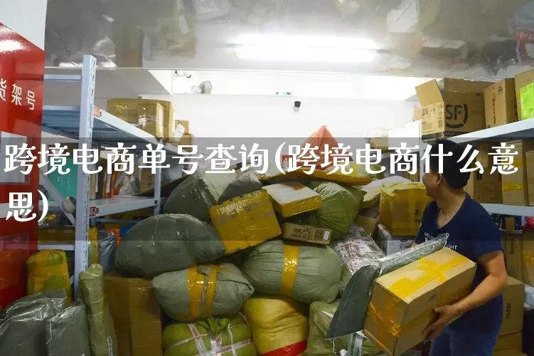 跨境电商单号查询(跨境电商什么意思)_https://www.senxinmaoyi.com_邮政编码_第1张