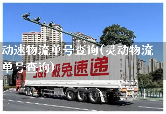 动速物流单号查询(灵动物流单号查询)_https://www.senxinmaoyi.com_邮政编码_第1张