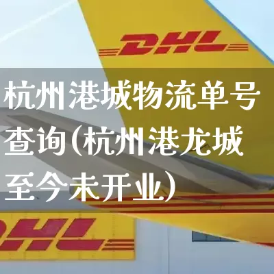 杭州港城物流单号查询(杭州港龙城至今未开业)_https://www.senxinmaoyi.com_物流单号_第1张