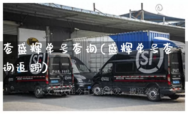 查盛辉单号查询(盛辉单号查询追踪)_https://www.senxinmaoyi.com_物流单号_第1张
