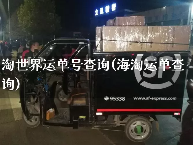 淘世界运单号查询(海淘运单查询)_https://www.senxinmaoyi.com_物流单号_第1张