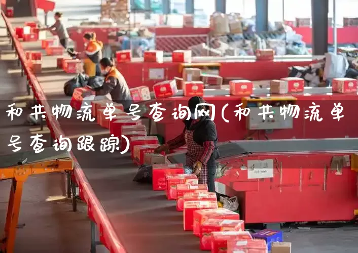 和共物流单号查询网(和共物流单号查询跟踪)_https://www.senxinmaoyi.com_物流单号_第1张