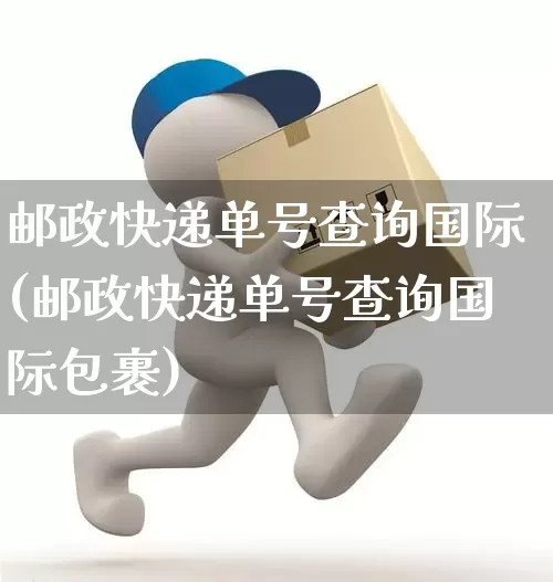 邮政快递单号查询国际(邮政快递单号查询国际包裹)_https://www.senxinmaoyi.com_物流查询_第1张