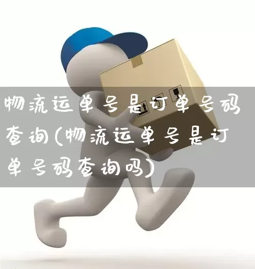 物流运单号是订单号码查询(物流运单号是订单号码查询吗)_https://www.senxinmaoyi.com_物流单号_第1张