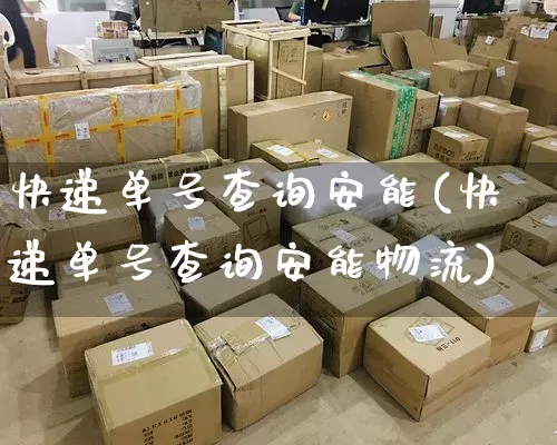 快递单号查询安能(快递单号查询安能物流)_https://www.senxinmaoyi.com_快递查询_第1张