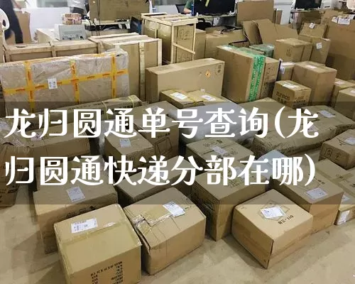 龙归圆通单号查询(龙归圆通快递分部在哪)_https://www.senxinmaoyi.com_物流单号_第1张
