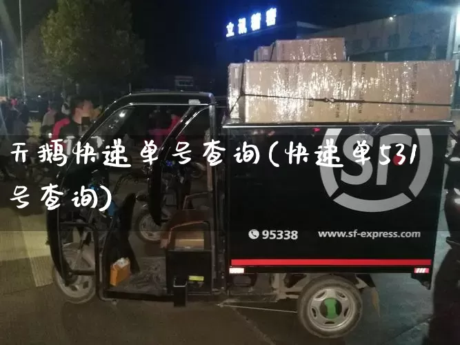天鹅快递单号查询(快递单531号查询)_https://www.senxinmaoyi.com_邮政编码_第1张