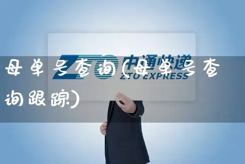 母单号查询(母单号查询跟踪)_https://www.senxinmaoyi.com_快递查询_第1张