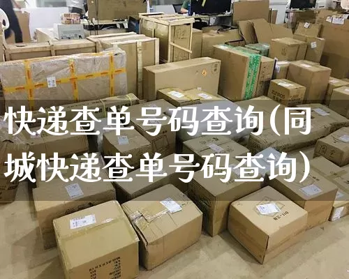 快递查单号码查询(同城快递查单号码查询)_https://www.senxinmaoyi.com_快递查询_第1张